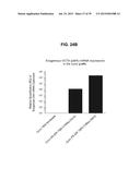 Autologous Mammalian Models Derived from Induced Pluripotent Stem Cells     and Related Methods diagram and image