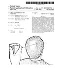 FIBER AND POWDER ELECTRIC DISPENSER diagram and image