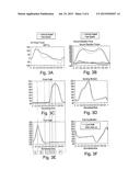 LOWER LIMB PROSTHESIS diagram and image