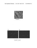 LIPOSOMAL DRUG DELIVERY SYSTEM diagram and image