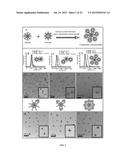 POLYMER-POLYMER COMPOSITE NANOASSEMBLIES AND APPLICATIONS THEREOF diagram and image