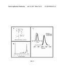 POLYMER-POLYMER COMPOSITE NANOASSEMBLIES AND APPLICATIONS THEREOF diagram and image