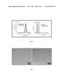 POLYMER-POLYMER COMPOSITE NANOASSEMBLIES AND APPLICATIONS THEREOF diagram and image