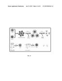 POLYMER-POLYMER COMPOSITE NANOASSEMBLIES AND APPLICATIONS THEREOF diagram and image
