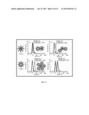 POLYMER-POLYMER COMPOSITE NANOASSEMBLIES AND APPLICATIONS THEREOF diagram and image