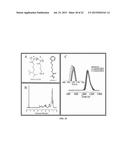 POLYMER-POLYMER COMPOSITE NANOASSEMBLIES AND APPLICATIONS THEREOF diagram and image