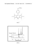 POLYMER-POLYMER COMPOSITE NANOASSEMBLIES AND APPLICATIONS THEREOF diagram and image