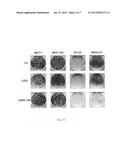 METHOD FOR TREATING TRIPLE-NEGATIVE BREAST CANCER USING AMPI-109 diagram and image