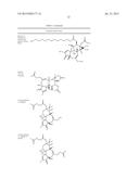 Compositions and methods of use of phorbol esters in the treatment of     neoplasms diagram and image