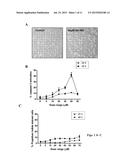 Pharmaceutical compositions of Anisomelic acid and the use thereof diagram and image