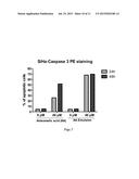 Pharmaceutical compositions of Anisomelic acid and the use thereof diagram and image