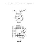 TREATMENT OF SPINAL CORD INJURY OR TRAUMATIC BRAIN INJURY BY INHIBITION OF     AMYLOIDOGENIC PROTEINS AND SYNUCLEIN PROTEIN ACCUMULATION OR AGGREGATION diagram and image