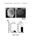 TREATMENT OF SPINAL CORD INJURY OR TRAUMATIC BRAIN INJURY BY INHIBITION OF     AMYLOIDOGENIC PROTEINS AND SYNUCLEIN PROTEIN ACCUMULATION OR AGGREGATION diagram and image