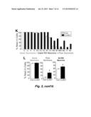 TREATMENT OF SPINAL CORD INJURY OR TRAUMATIC BRAIN INJURY BY INHIBITION OF     AMYLOIDOGENIC PROTEINS AND SYNUCLEIN PROTEIN ACCUMULATION OR AGGREGATION diagram and image