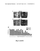 TREATMENT OF SPINAL CORD INJURY OR TRAUMATIC BRAIN INJURY BY INHIBITION OF     AMYLOIDOGENIC PROTEINS AND SYNUCLEIN PROTEIN ACCUMULATION OR AGGREGATION diagram and image