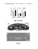 TREATMENT OF SPINAL CORD INJURY OR TRAUMATIC BRAIN INJURY BY INHIBITION OF     AMYLOIDOGENIC PROTEINS AND SYNUCLEIN PROTEIN ACCUMULATION OR AGGREGATION diagram and image