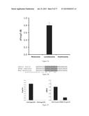 Modulation of the Immune Response diagram and image