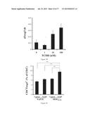 Modulation of the Immune Response diagram and image