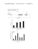 Modulation of the Immune Response diagram and image