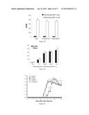 Modulation of the Immune Response diagram and image