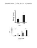 Modulation of the Immune Response diagram and image