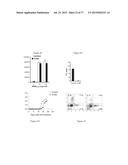 Modulation of the Immune Response diagram and image