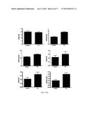 Modulation of the Immune Response diagram and image