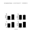 Modulation of the Immune Response diagram and image