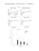 Modulation of the Immune Response diagram and image