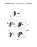 Modulation of the Immune Response diagram and image