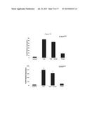 Modulation of the Immune Response diagram and image