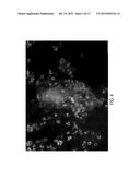 Injectable Brown Adipose Microtissues for Treatment and Prevention of     Obesity and Diabetes diagram and image