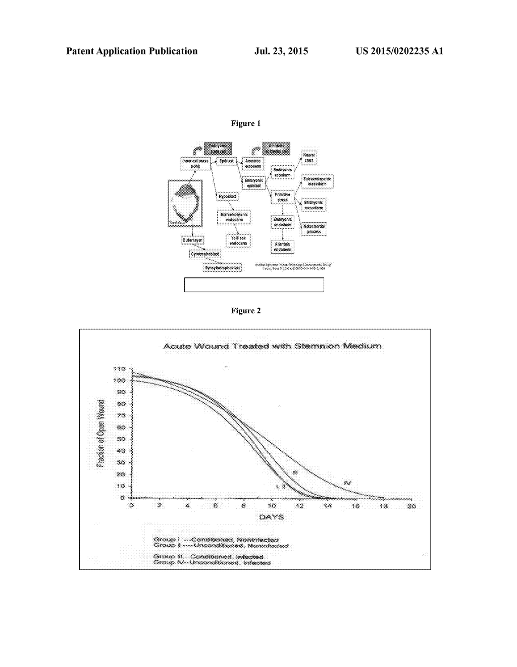 Amnion-derived cell compositions, methods of making and uses thereof - diagram, schematic, and image 02