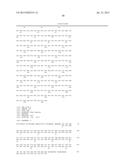 Amnion-derived cell compositions, methods of making and uses thereof diagram and image