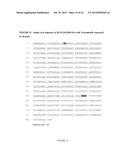 ENDOGLIN PEPTIDES TO TREAT FIBROTIC DISEASES diagram and image