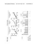 METHODS AND COMPOSITIONS FOR TREATING ANTIPROGESTIN-RESISTANT CANCERS diagram and image