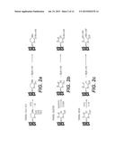 METHODS FOR INTRODUCING MANNOSE 6 PHOSPHATE AND OTHER OLIGOSACCHARIDES     ONTO GLYCOPROTEINS AND APPLICATIONS THEREOF diagram and image