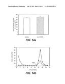 METHODS FOR INTRODUCING MANNOSE 6 PHOSPHATE AND OTHER OLIGOSACCHARIDES     ONTO GLYCOPROTEINS AND APPLICATIONS THEREOF diagram and image