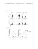 METHODS AND COMPOSITIONS FOR ENHANCING VACCINE IMMUNE RESPONSES diagram and image