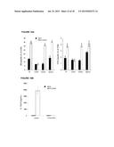 METHODS AND COMPOSITIONS FOR ENHANCING VACCINE IMMUNE RESPONSES diagram and image