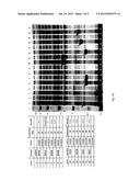 ANTIGENS AND ANTIGEN COMBINATIONS diagram and image