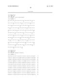 Mutant Forms of Chlamydia HtrA diagram and image