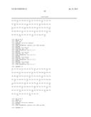 COMBINATION THERAPY FOR THE TREATMENT OF OCULAR NEOVASCULAR DISORDERS diagram and image