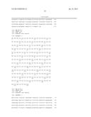 COMBINATION THERAPY FOR THE TREATMENT OF OCULAR NEOVASCULAR DISORDERS diagram and image