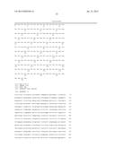 COMBINATION THERAPY FOR THE TREATMENT OF OCULAR NEOVASCULAR DISORDERS diagram and image