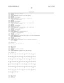 COMBINATION THERAPY FOR THE TREATMENT OF OCULAR NEOVASCULAR DISORDERS diagram and image