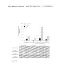 ADENOVIRAL VECTORS AND METHODS AND USES RELATED THERETO diagram and image