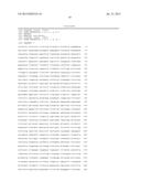 ADENOVIRAL VECTORS AND METHODS AND USES RELATED THERETO diagram and image