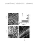 OMENTUM BASED SCAFFOLD AND DELIVERY SYSTEM diagram and image