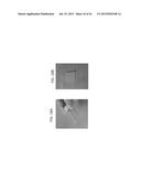 OMENTUM BASED SCAFFOLD AND DELIVERY SYSTEM diagram and image